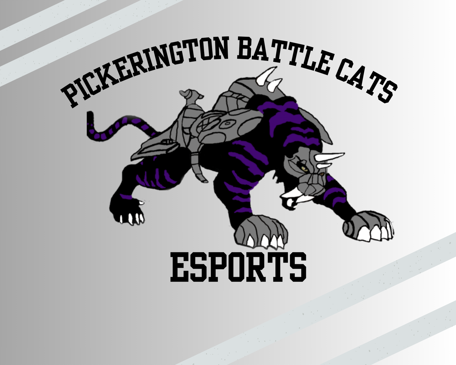 Pickerington Esports